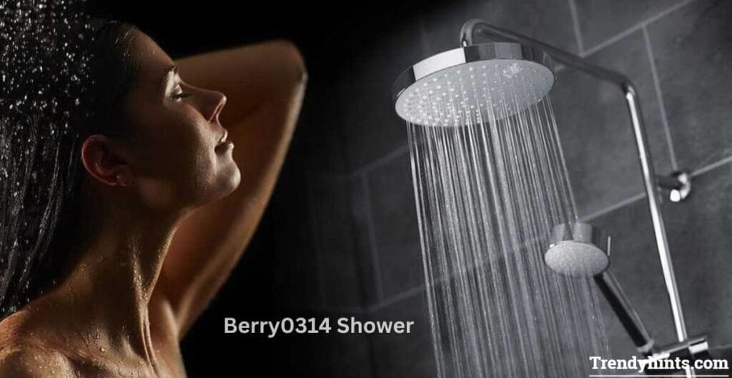 Berry0314 Shower vs. Traditional Shower Systems: Which is Better?