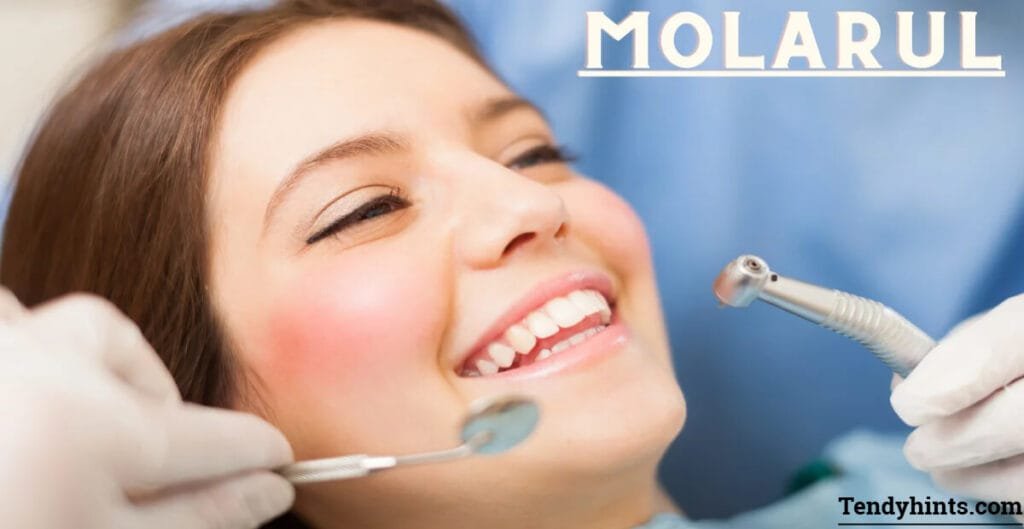 Molarul vs. Other Teeth: Key Differences and Functions