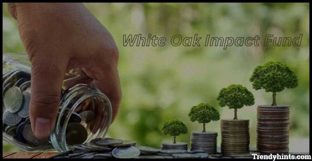 White Oak Impact Fund: Impact Investing for Social and Financial Returns