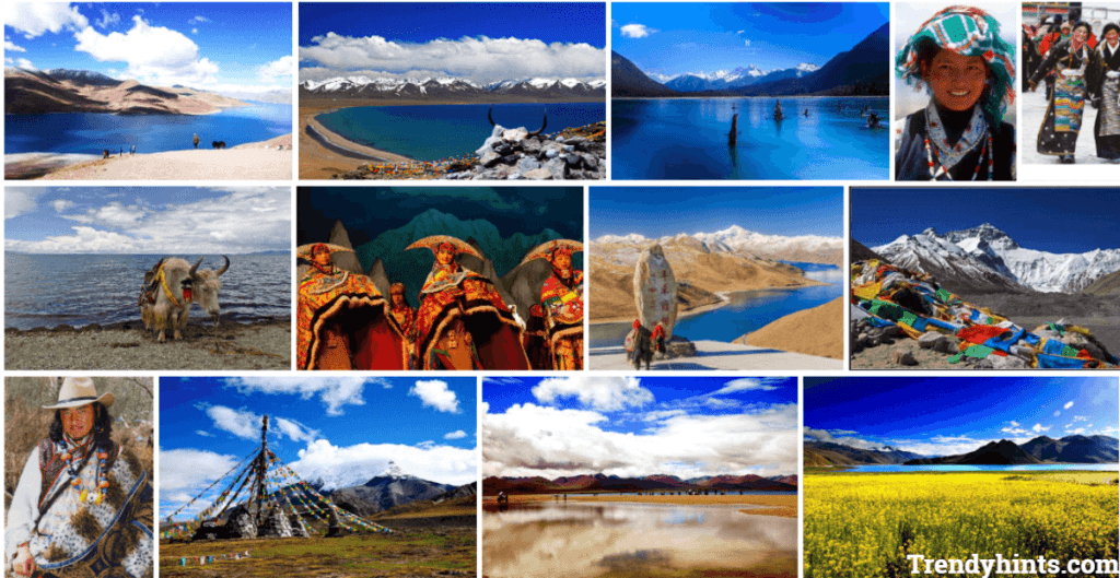 Photographing the Woolly Beast of Tibet: Expert Tips and Techniques